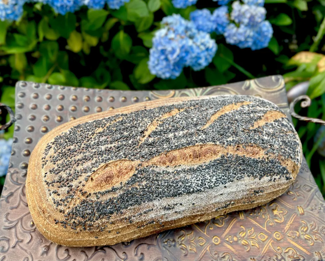 Main image Durum Whole Wheat SD