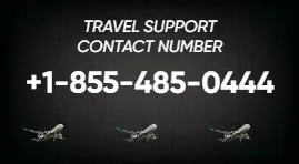 tarvel services