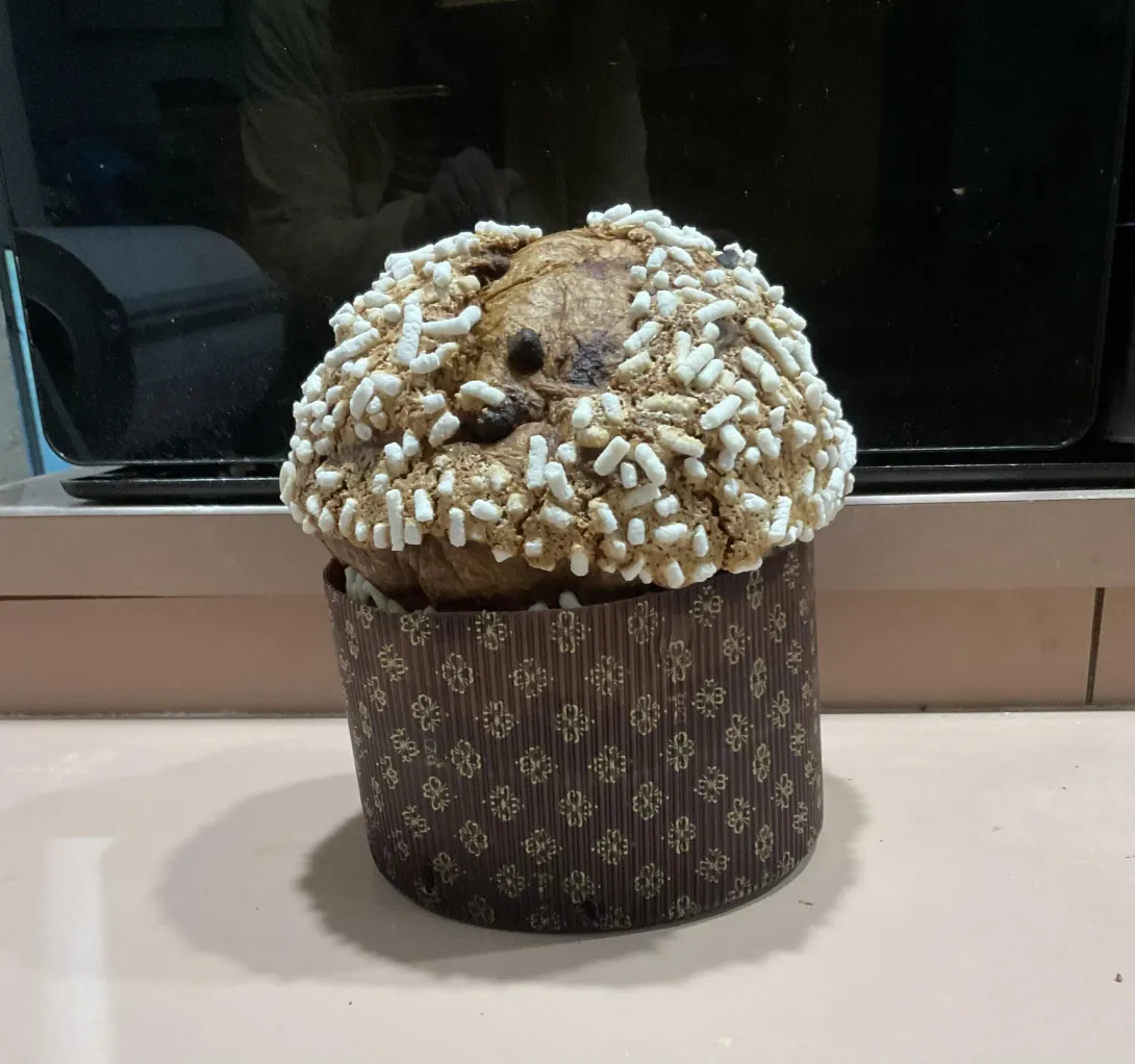 Panettone loaf