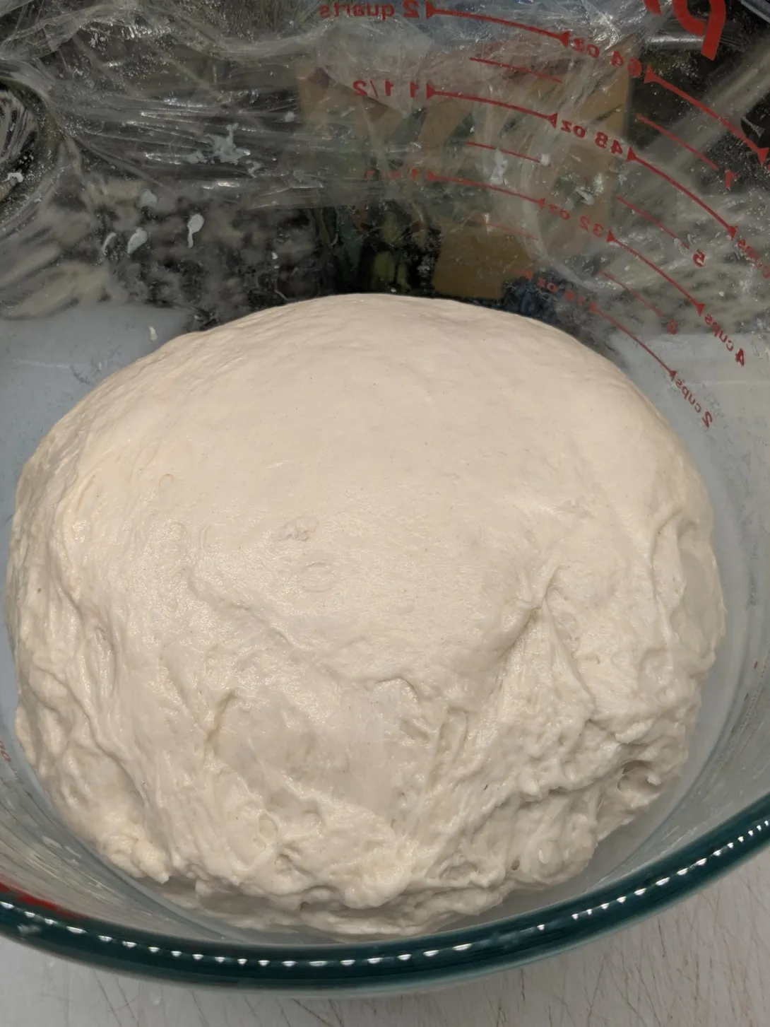 Baguette dough