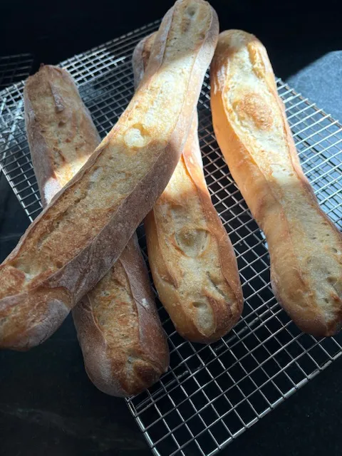 Bread