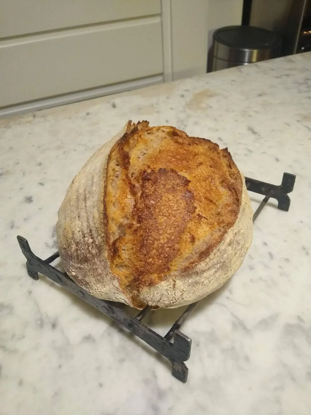 Middlings preferment SD loaf