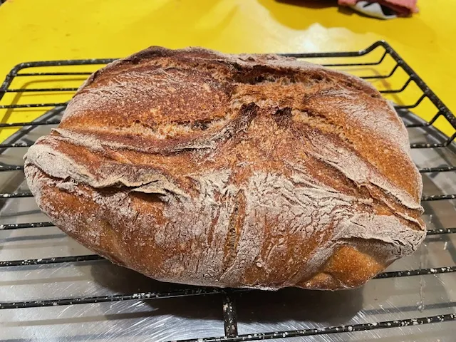 a rye boule