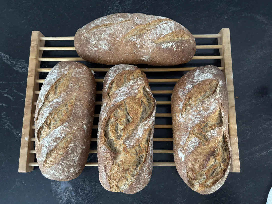 Hamelman’s 5-Grain Sourdough 