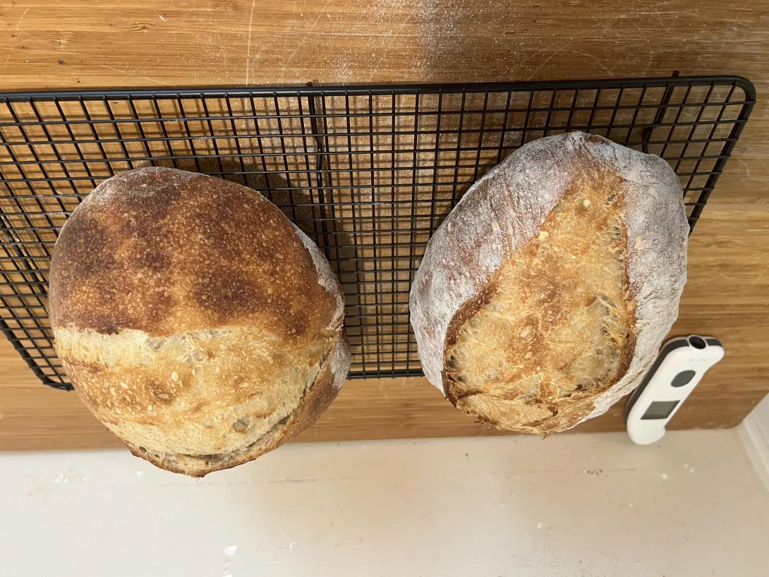 2 loaves in under 6 hours…