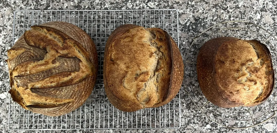 French Folds, Hamelman Recipe