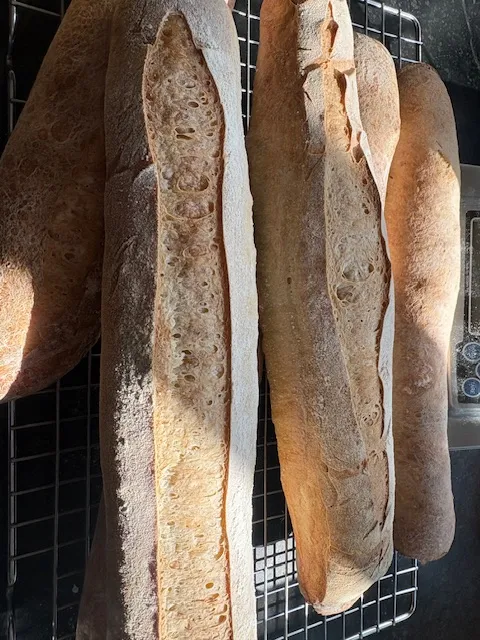 Baguette 
