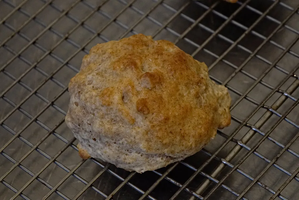 Overall View of Biscuit