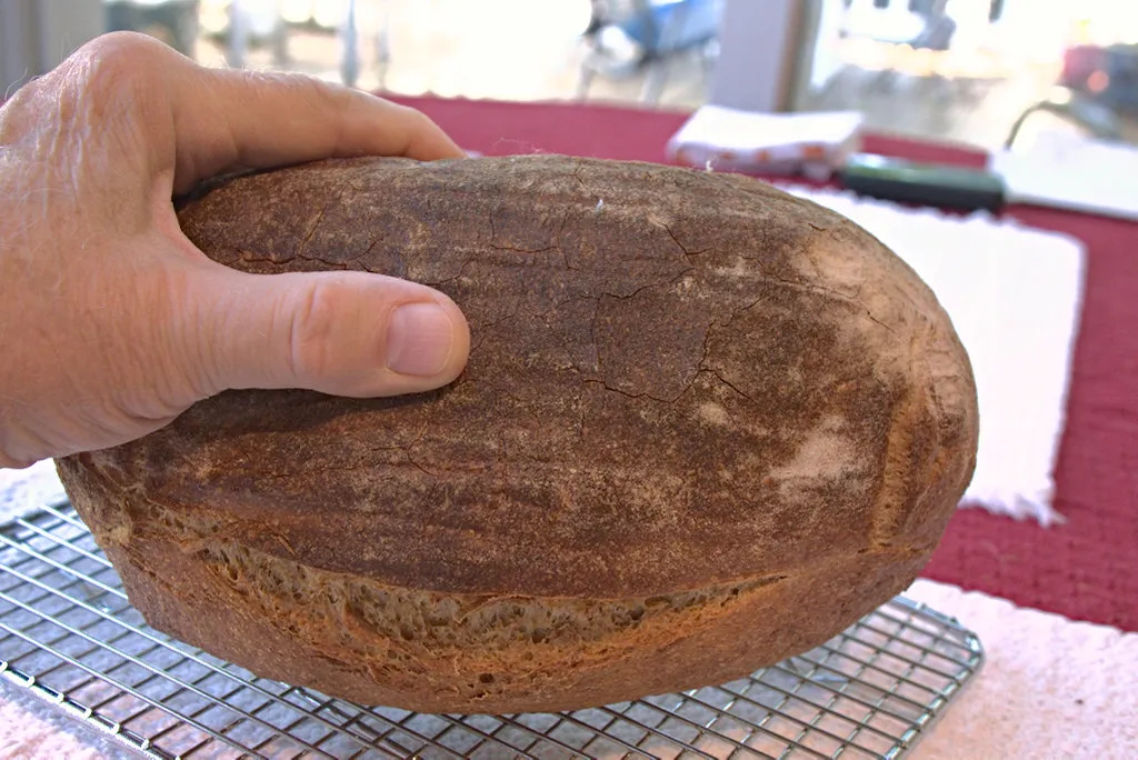 50%-einkorn_take-2_1.jpg