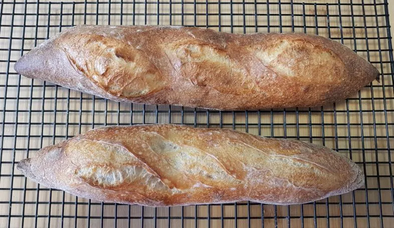 Baguette batch C bake 2 - crust outer (yeast and sourdough)