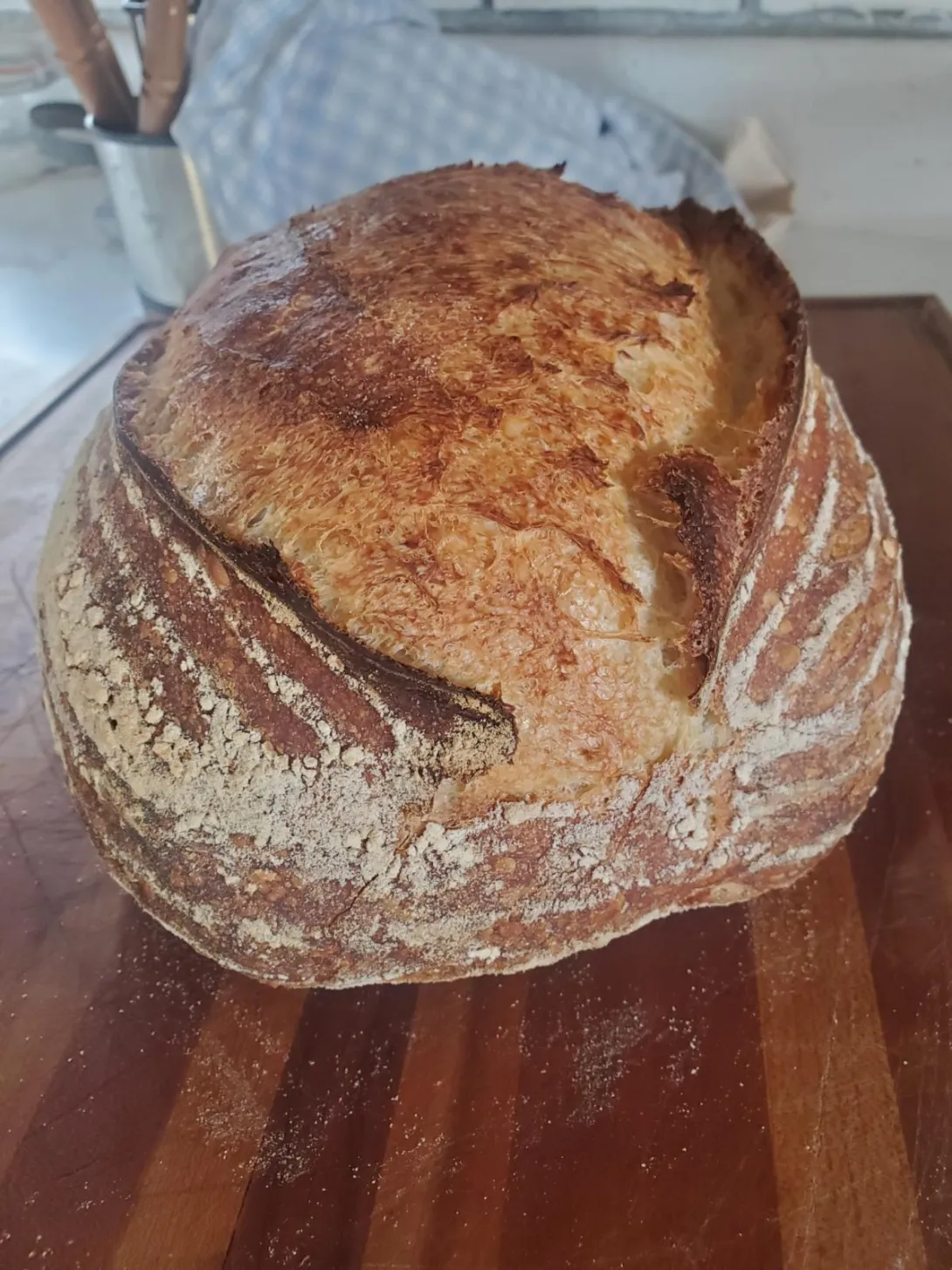 Bread today.jpg