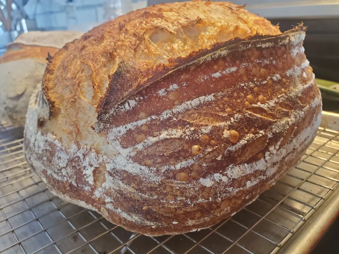 Bread42821_resized.jpg