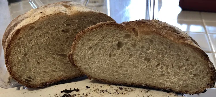 Crumb.jpg
