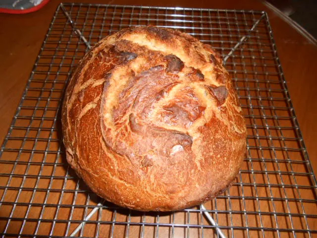 440gm total flour. 30% fermented in 243ml (226gm) butter milk. 1, 1/2 tsp salt. Baked at 450F in a Dutch oven 25 minutes with lid on, 25 minutes with lid off 