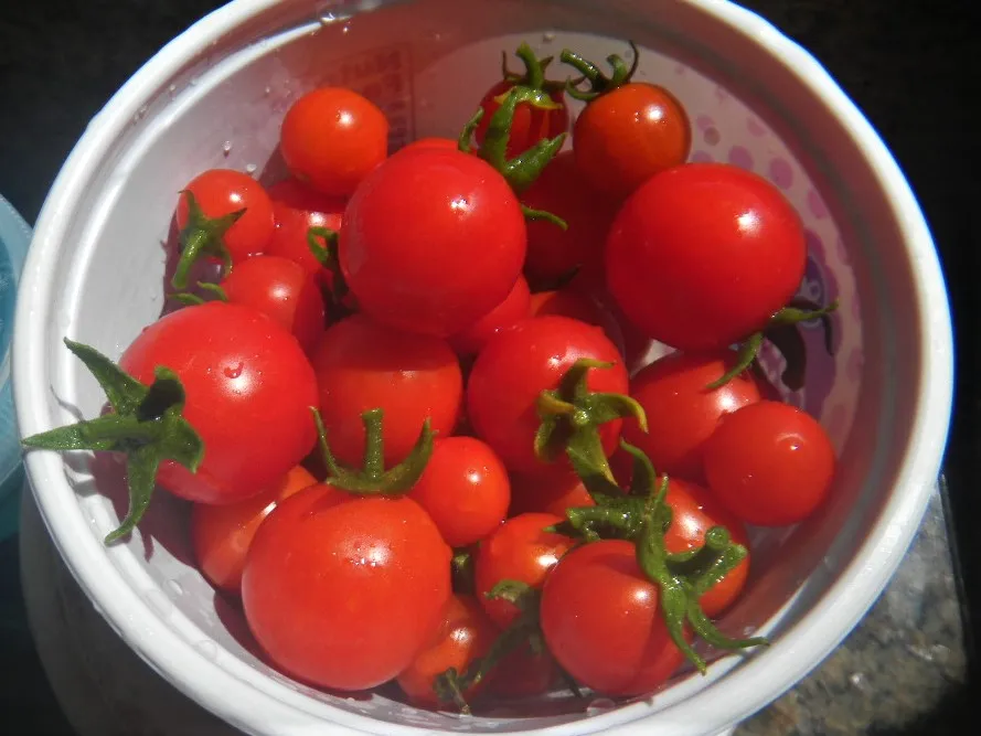 DSCN2727.JPG