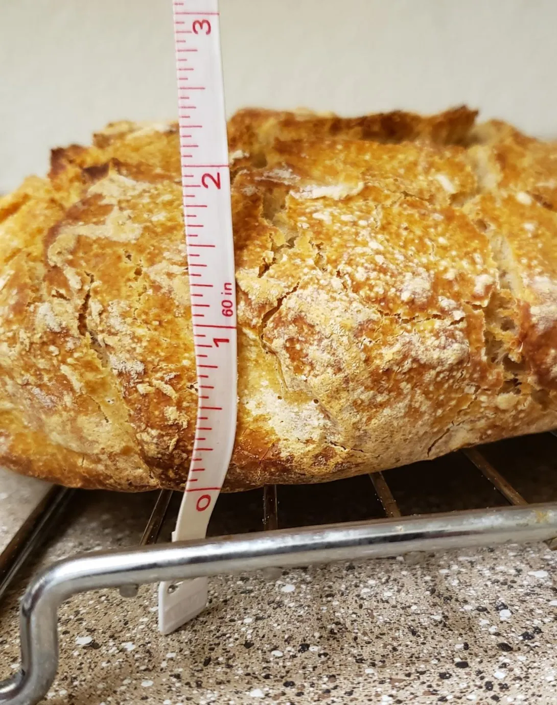 Height of big boule.jpg
