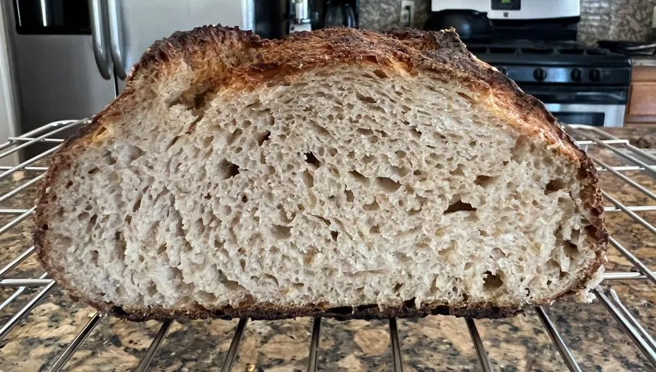 Honeyed Spelt and Oat Levain 9.8.2023 Cr.JPG Honeyed Spelt and Oat Levain 9.8.2023 Cr.JPG