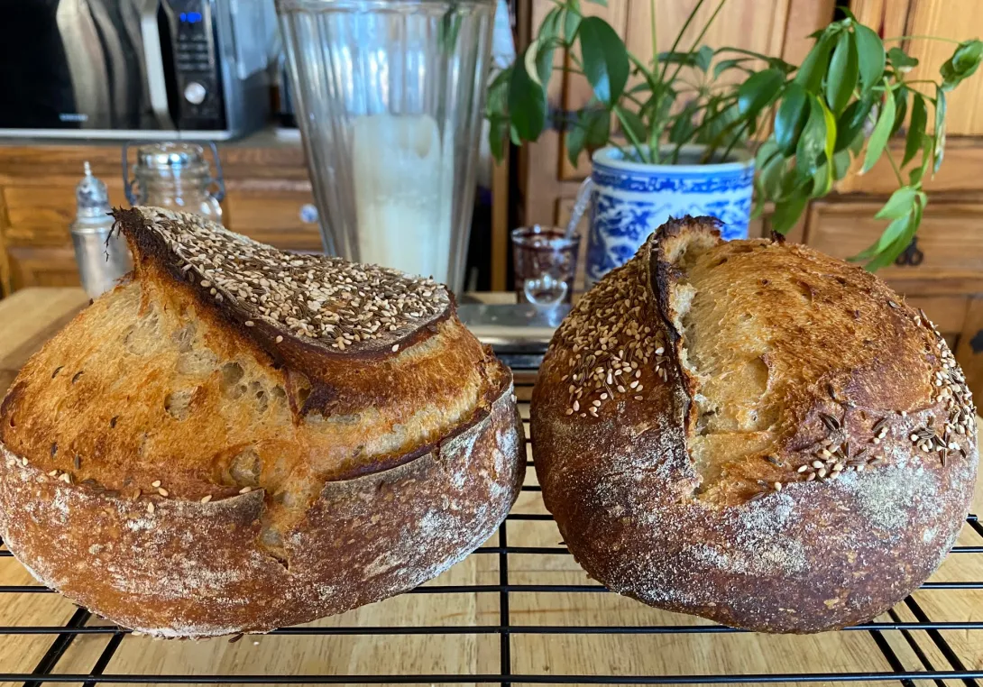 IMG_5614.jpg Sourdough Rye