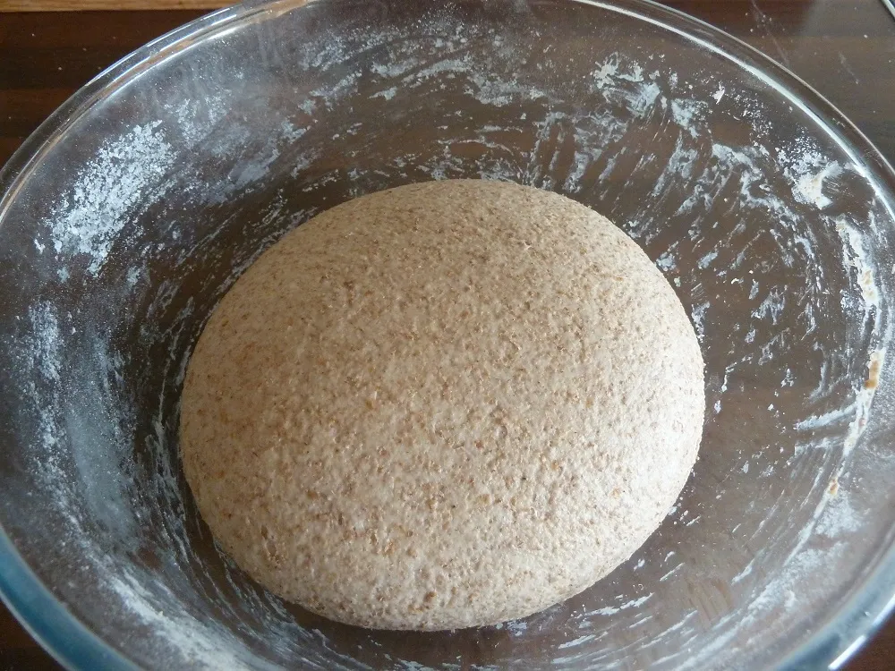 P1150364.JPG