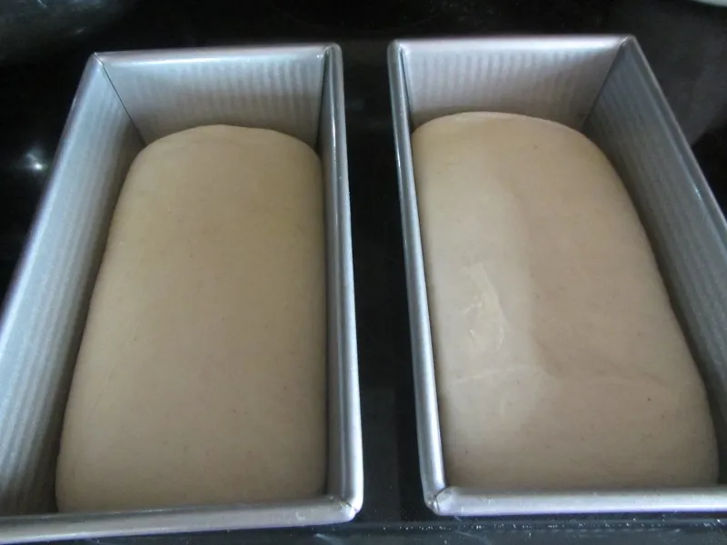 Sourdough #1.jpg