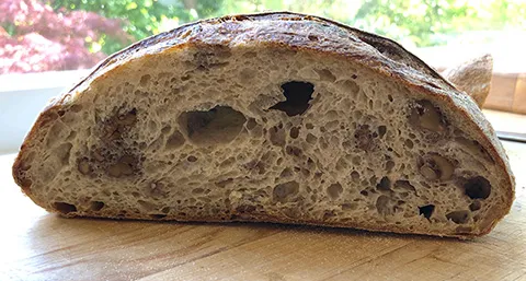 Walnut Wheat 01.JPG