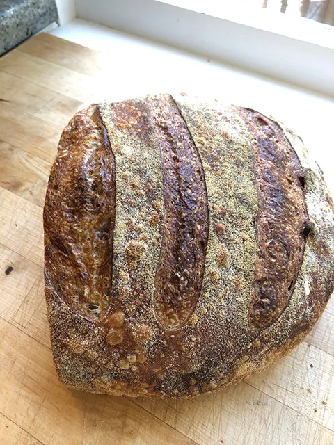 Walnut Wheat 02.JPG