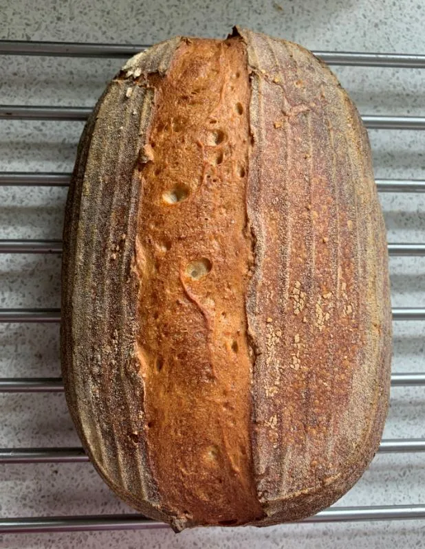 bread.JPG