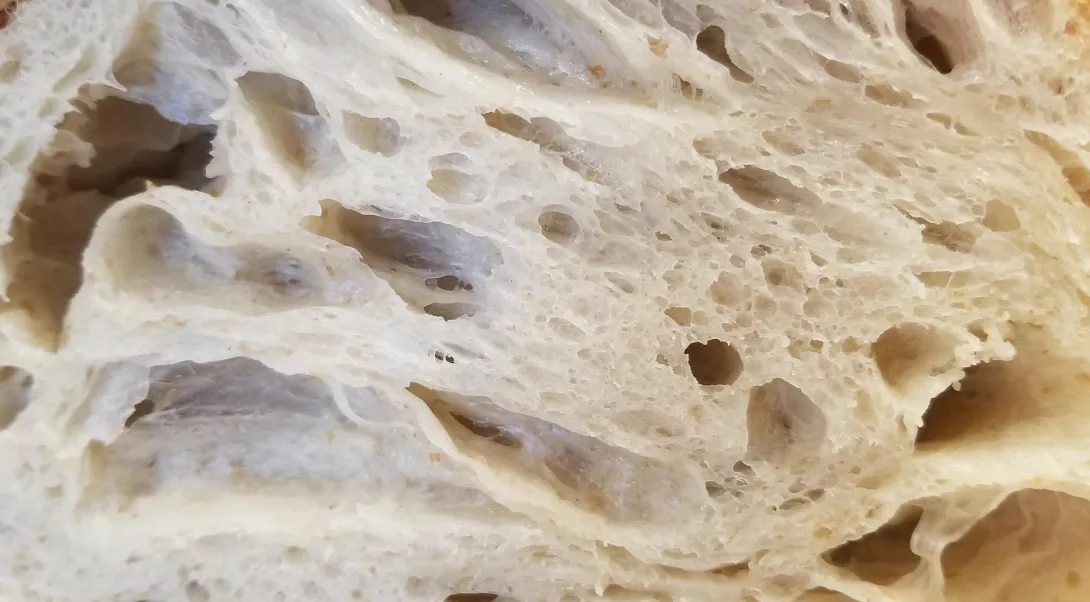 close 2 - Copy.jpg