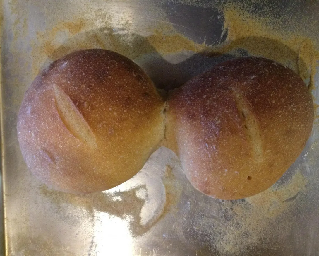 firstsourdough.jpg