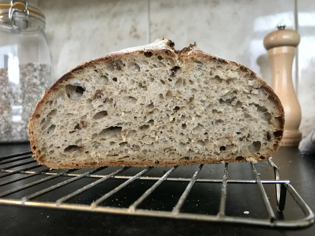 fullsizeoutput_917.jpeg