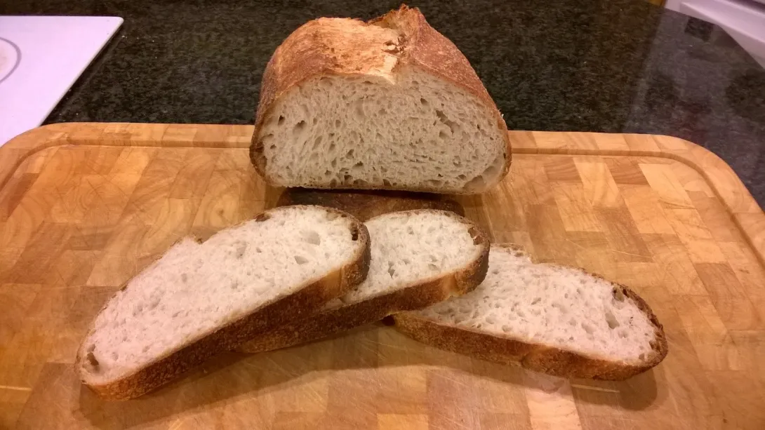 halfWWSourdoughCrumb.jpg
