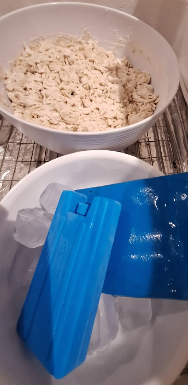 ice bricks.jpeg biga bowl in polystyrene proofer with ice bricks