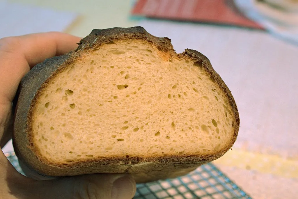 masa_harina_sourdough-crumb.jpg Masa Harina Sourdough Crumb