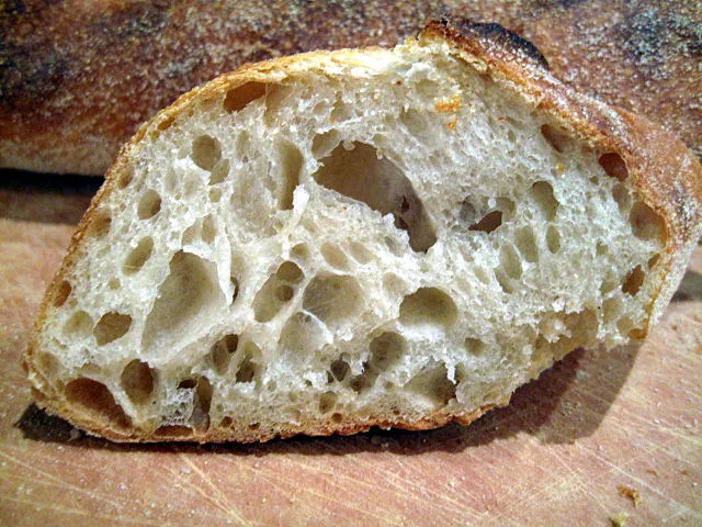 proth5_baguette_crumb.JPG