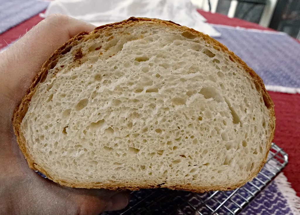rice_starter-slice.jpg rice_starter-slice.jpg