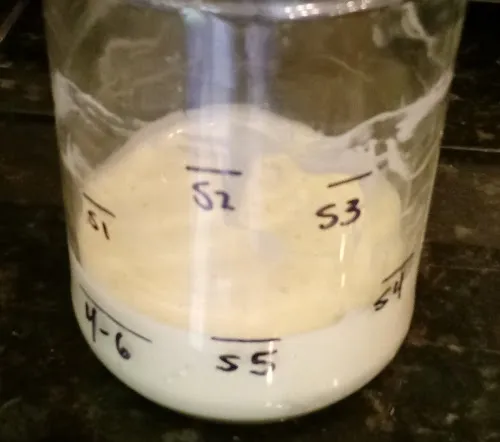 starter-stirring-a.jpg