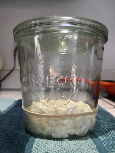 starter1.jpg