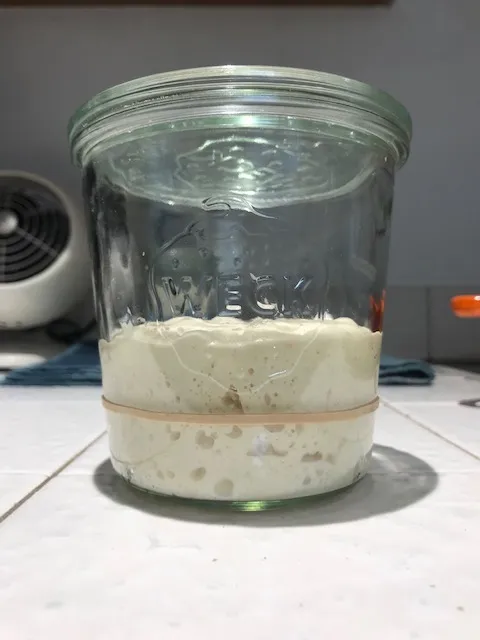 starter2.jpg
