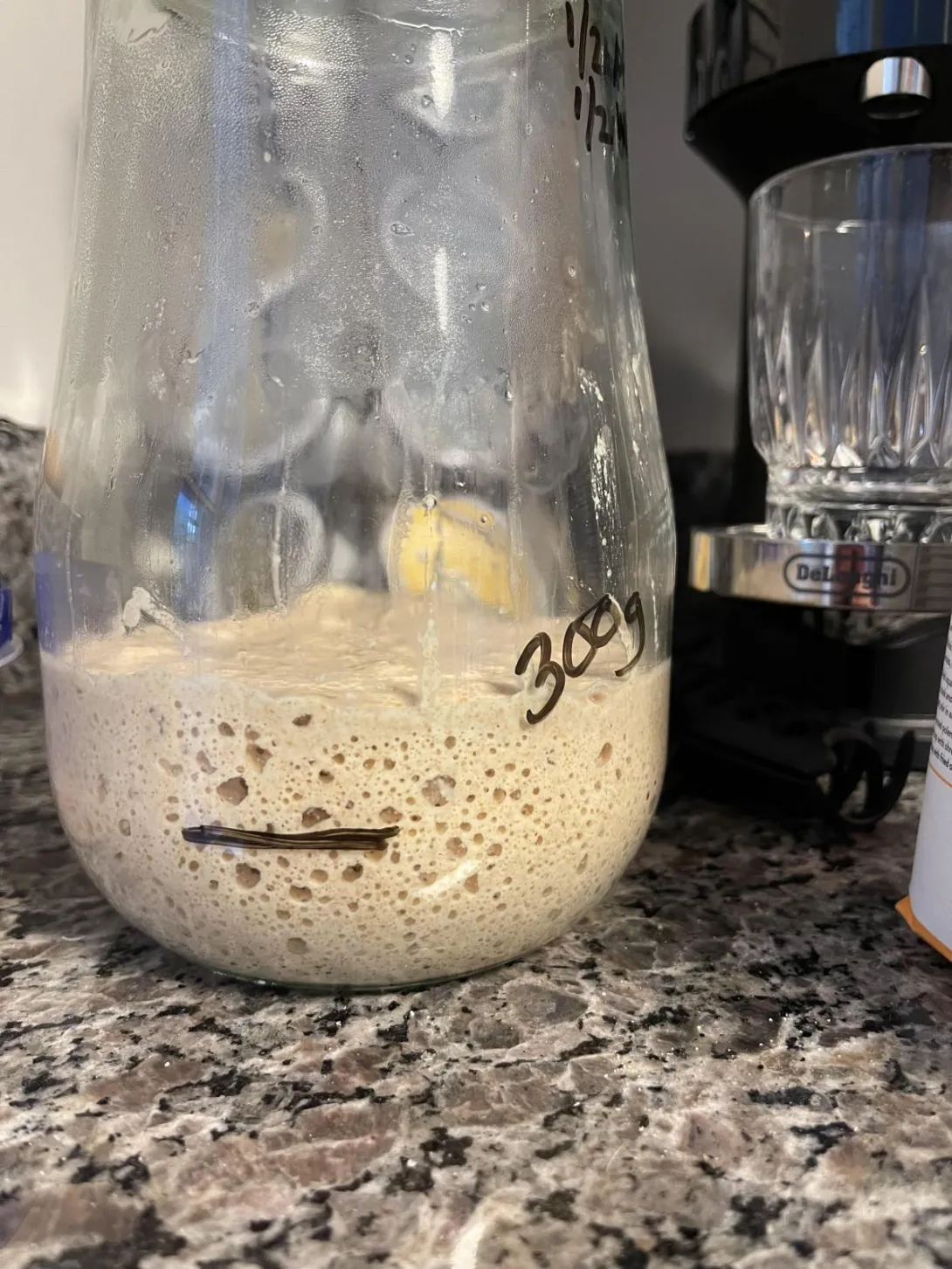 starter.jpg