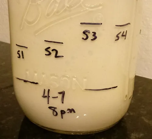 starter_stirring-b.jpg