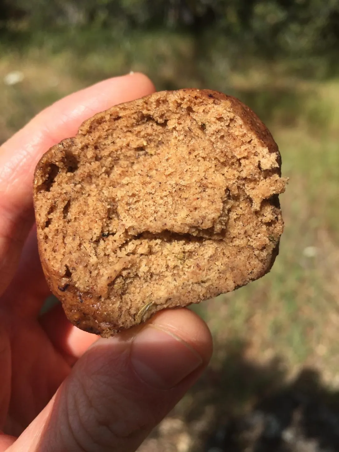 steamed_banana_breads2.jpeg